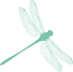 MMo-LiBELLE-poolgruen